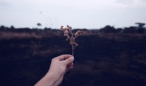 Làm thế nào để cải thiện giao tiếp một cách đơn giản?